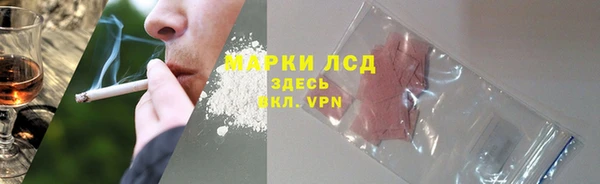 твердый Майский