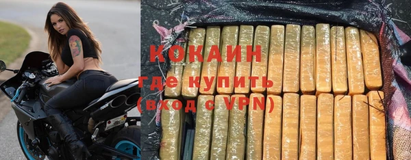 молекула духа Магадан