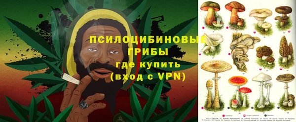 твердый Майский