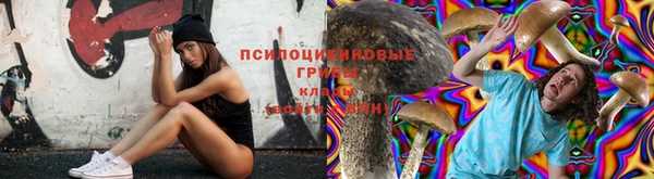 твердый Майский