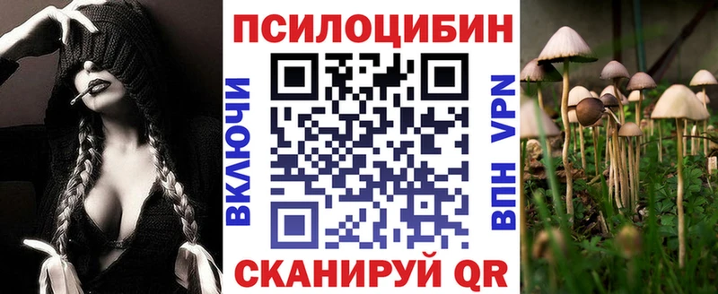 Купить где  Ермолино  Галлюциногенные грибы Psilocybine cubensis 